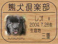 ���I�p�p�����BLOG�ւf�n�I